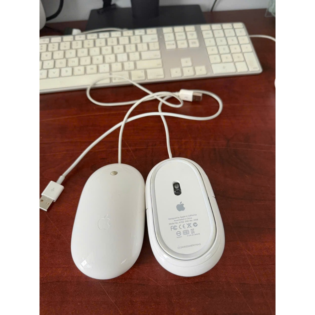 Chuột Mighty Mouse- Chính hãng | BigBuy360 - bigbuy360.vn