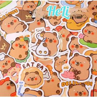  GÓI 50 &100 STICKER SHIN KITTY CAPYBARA LOOPY SANRIO LABUBU DÁN MŨ BẢO HIỂM ĐIỆN THOẠI LAPTOP 