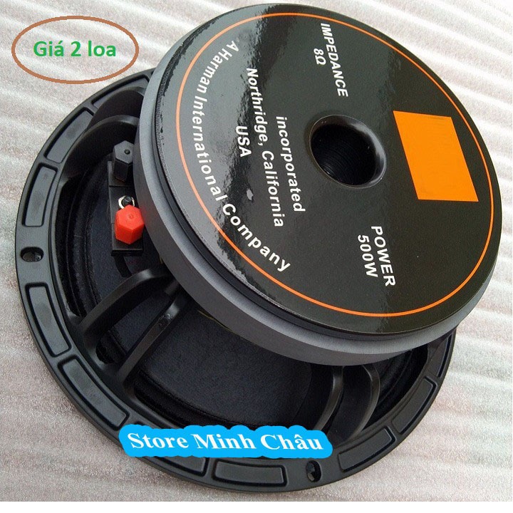 LOA 25 TỪ 170 COIL 65 CHINA - GIÁ 1 CẶP - LOA BASS 25 NHẬP KHẨU