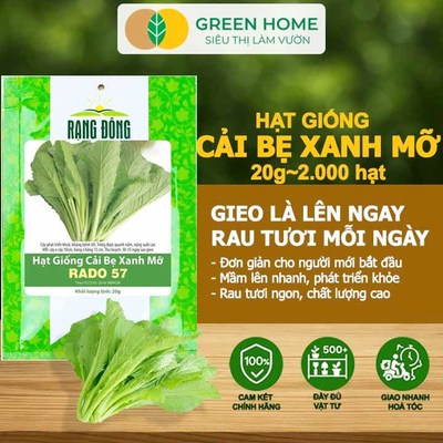 Hạt Giống Cải Bẹ Xanh Mỡ GreenHome, Gói 20g~2000 hạt, Dễ Trồng, Nảy Mầm Cao, Thu Hoạch,Năng Suất R04