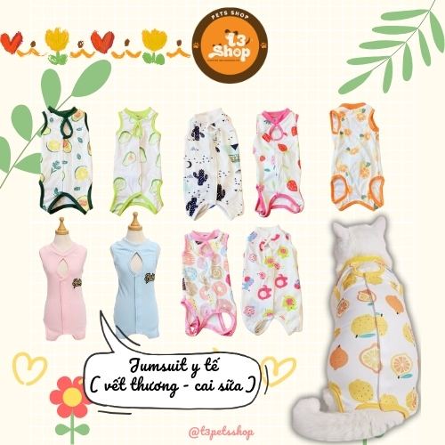 C. Jumsuit ngừa rụng lông / Quần áo cai sữa - hỗ trợ phục hồi vết thương sau khi phẫu thuật - T3 PETS SHOP
