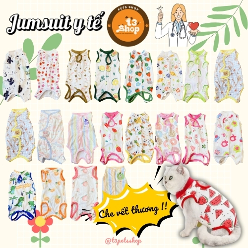 B. Jumsuit ngừa rụng lông / Quần áo cai sữa - hỗ trợ phục hồi vết thương sau khi phẫu thuật - T3 PETS SHOP