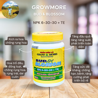  Phân bón lá Growmore Bub & Blossom - Npk 6-30-30 + TE - Kích ra hoa tăng đậu quả - Hủ 100gr 