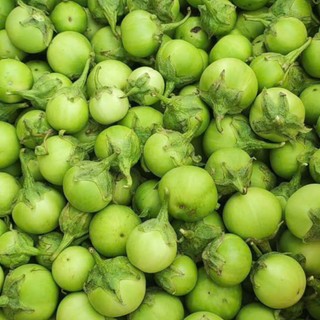 Hạt Giống Cà Pháo Xanh  – Quả Béo Tròn, Giòn Ngọt, Dễ Trồng