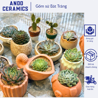 +30 Mẫu Mới - Chậu Sen Đá, Chậu Trồng Cây Gốm Đất Nung Nhiều Hình Dạng Kiểu Dáng Độc Đáo Dễ Thương