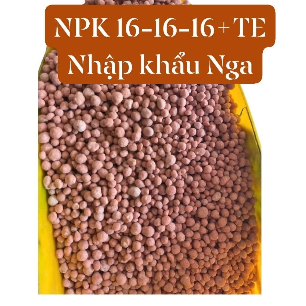Phân Bón NPK 16-16-16+TE {1kg} (nhập khẩu Nga)