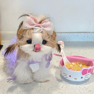 CHÉN HELLO KITTY CHẤT LIỆU NHỰA MELAMINE