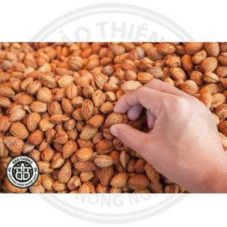 Hạt hạnh nhân rang bơ, thơm ngon, 500gr
