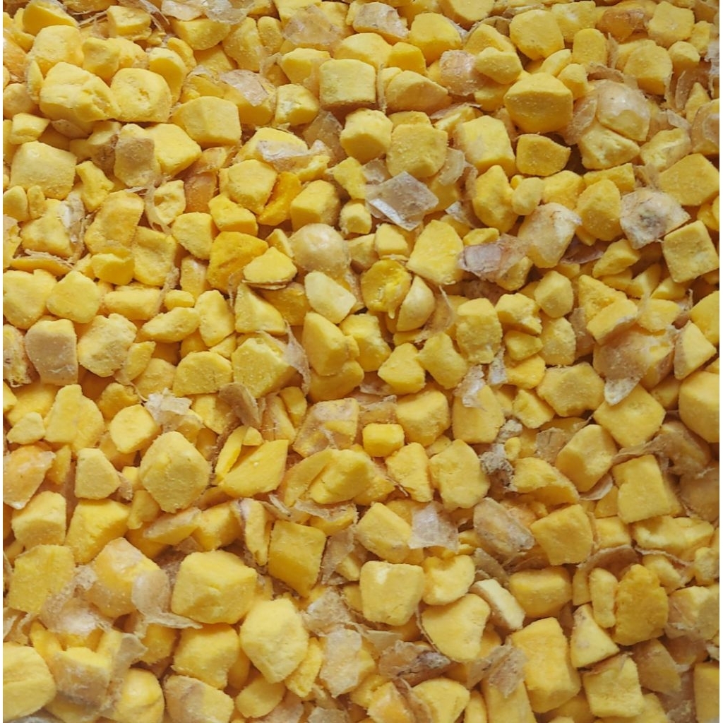 Lòng đỏ trứng nguyên chất 40g cho hamster, chó, mèo