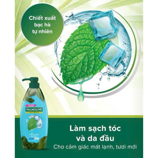 Dầu gội Palmolive kèm dầu xả chiết xuất bạc hà tự nhiên cho cảm giác Mát lạnh & Tươi Mới