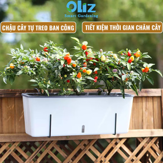  Chậu cây treo ban công Oliz SC06. Chậu trồng cây tự tưới có bao gồm giá treo 