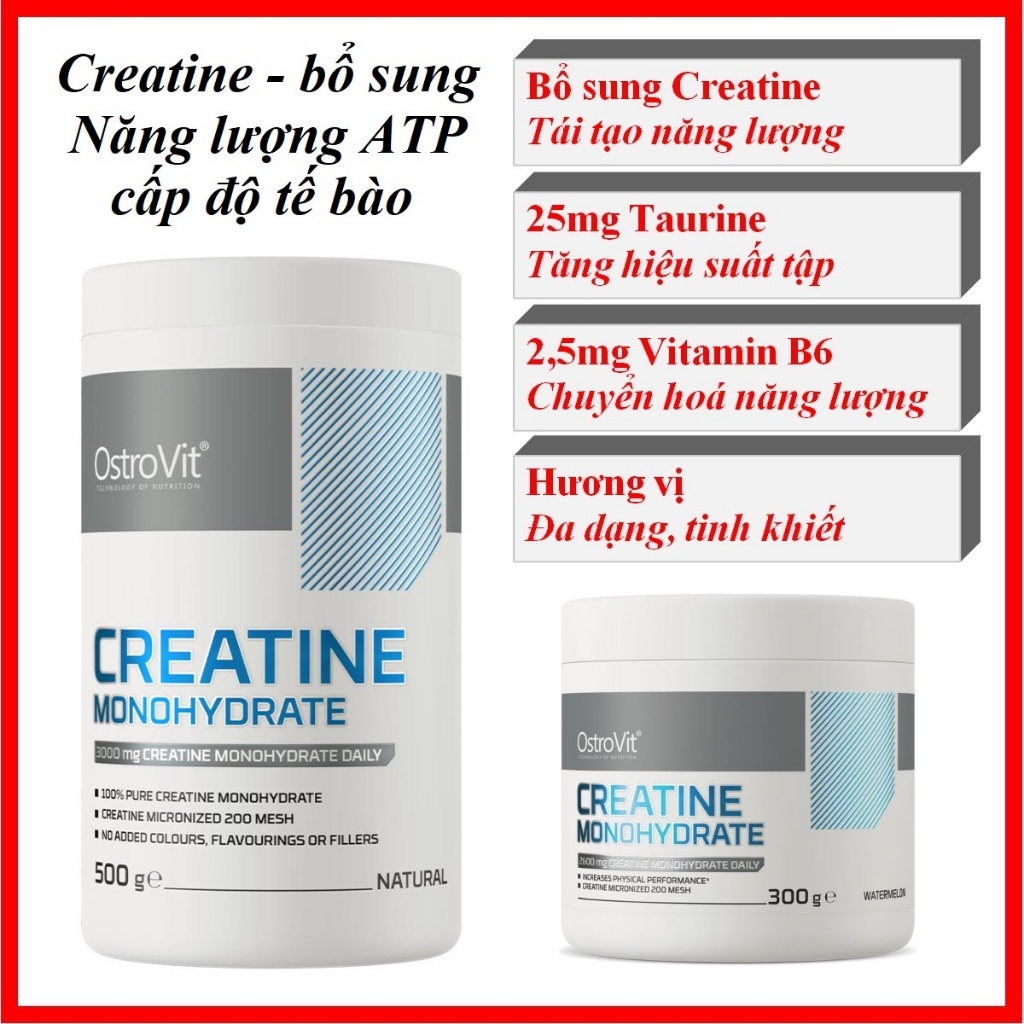 Combo Ostrovit Creatine 300g/500g – Bổ sung Acid Amin Creatine, Taurine, B6, tái tạo năng lượng tập 