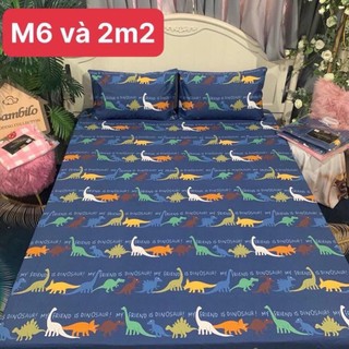 GA CHỐNG THẤM cotton poly 1M6X2M  nhiều mẫu GIAO NGẪU NHIÊN