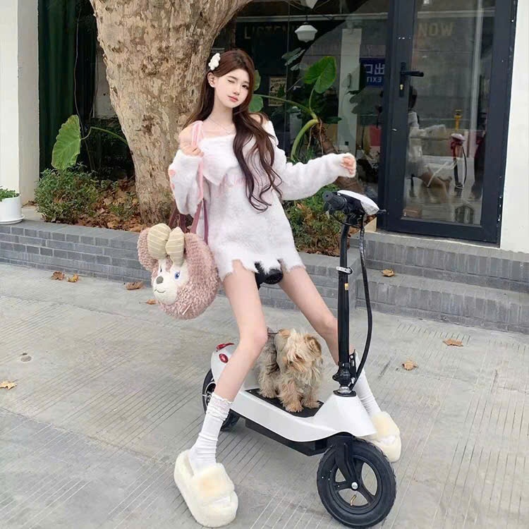 xe điện mini gấp gọn bỏ cốp xe ô tô dã ngoại