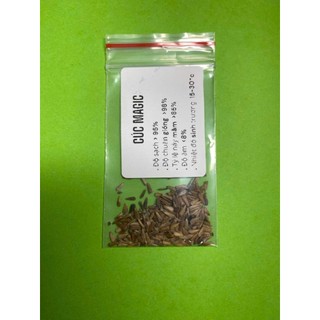 🌼 Deal Tiết Kiệm –50 Hạt Giống Hoa Cúc Magic Rực Rỡ, Dễ Trồng 🌼 ✅ Nhiều màu sắc bắt mắt – ✅ Ra hoa nhanh Hàng CTY