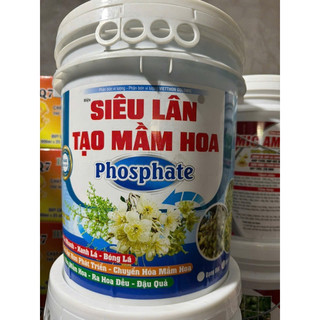   1-2XÔ ĐƠN  SIÊU LÂN TẠO MẦM HOA PHOSPHATE 20kg dạng Nước giúp phân hoá mầm hoa  ức chế đọt non  chuyển hoá mầm hoa... 