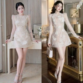 Váy Ren Nữ Dáng Ôm Dài Tay Thêu Hoa Nổi Màu Nude Sang Trọng Dự Tiệc Cưới Kiểu Cổ Điển