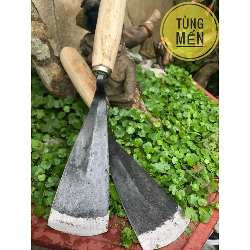 Rầm xới đất làm cỏ gân thép siêu sắc