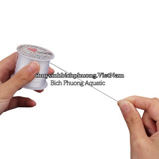 CƯỚC TÀNG HÌNH BUỘC RÊU - CỐ ĐỊNH CÂY THỦY SINH LÊN ĐÁ LŨA SỢI MỎNG TRONG SUỐT