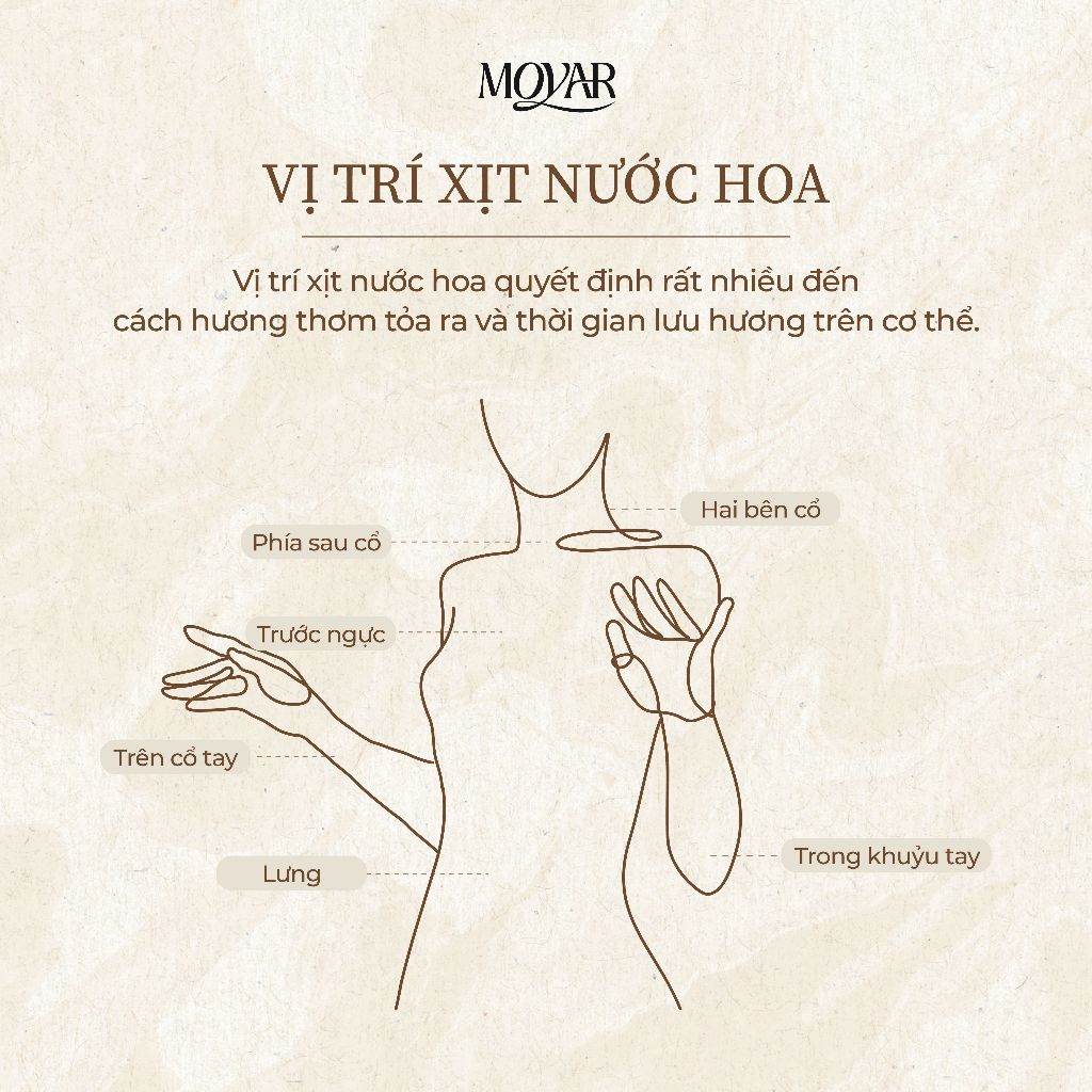 10ml Elizabeth Arden White Tea EDT | Nước hoa nữ | Moyar Perfume | BigBuy360 - bigbuy360.vn