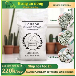 SHIP HỎA TỐC TPHCM Bao 40 lít đá Pumice Indo Premium, sạch, không vỡ vụn, chuyên trồng sen đá xương rồng bonsai, lan