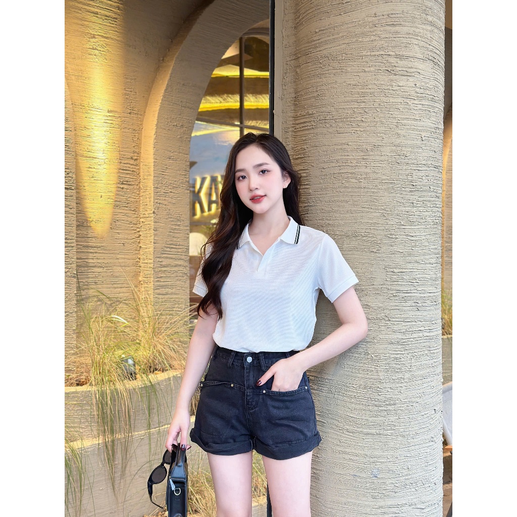 Áo thun polo nữ cổ áo 1 màu basicc ,sang trọng ,dễ phối đồ phù hợp du lịch ,công sở , picnic đủ size tới 85kg ( M11) Ver | BigBuy360 - bigbuy360.vn