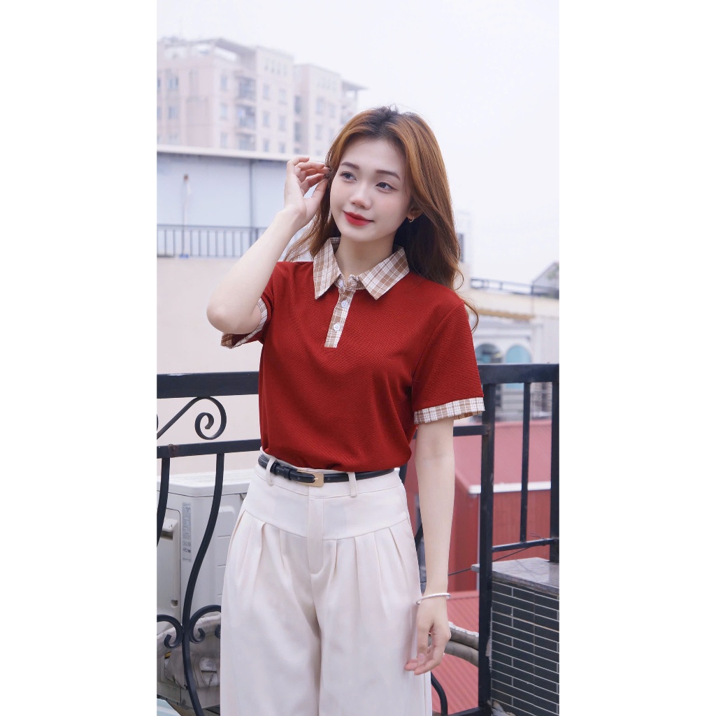 Áo polo Phasơ mi basicc 6 màu dễ phối đồ sang trọng thanh lịch, chất liệu Cotton tổ ong mịn đủ size tới 85kg (M12) | BigBuy360 - bigbuy360.vn