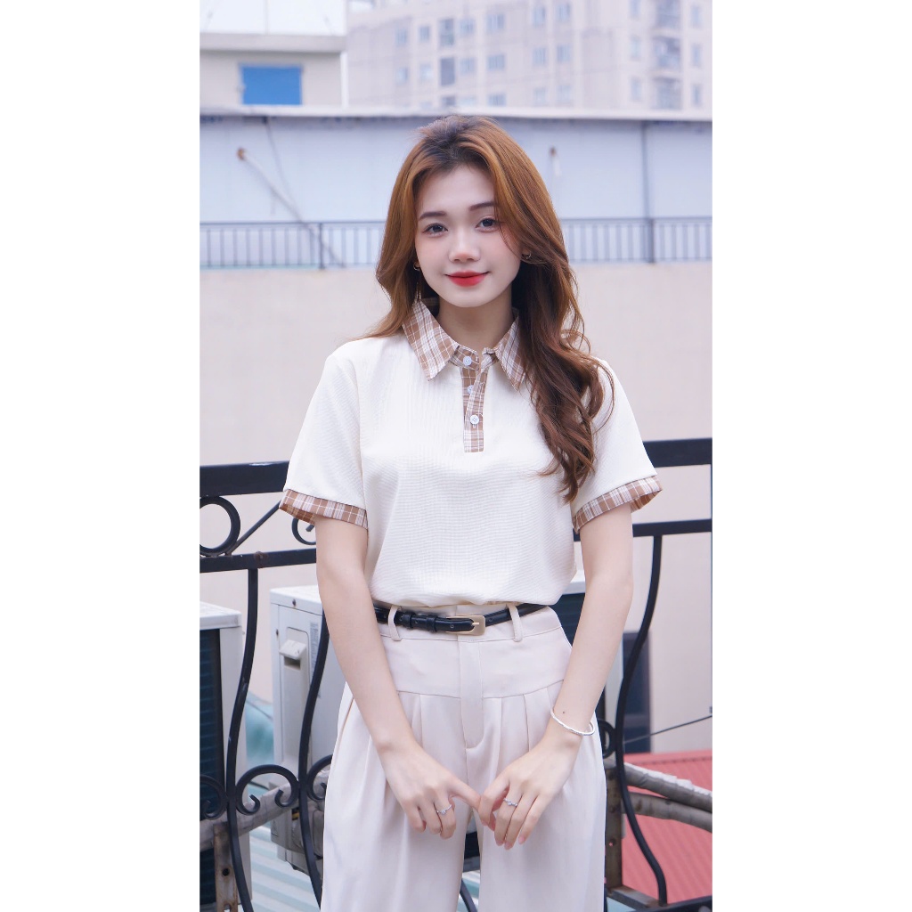 Áo polo Phasơ mi basicc 6 màu dễ phối đồ sang trọng thanh lịch, chất liệu Cotton tổ ong mịn đủ size tới 85kg (M12) | BigBuy360 - bigbuy360.vn