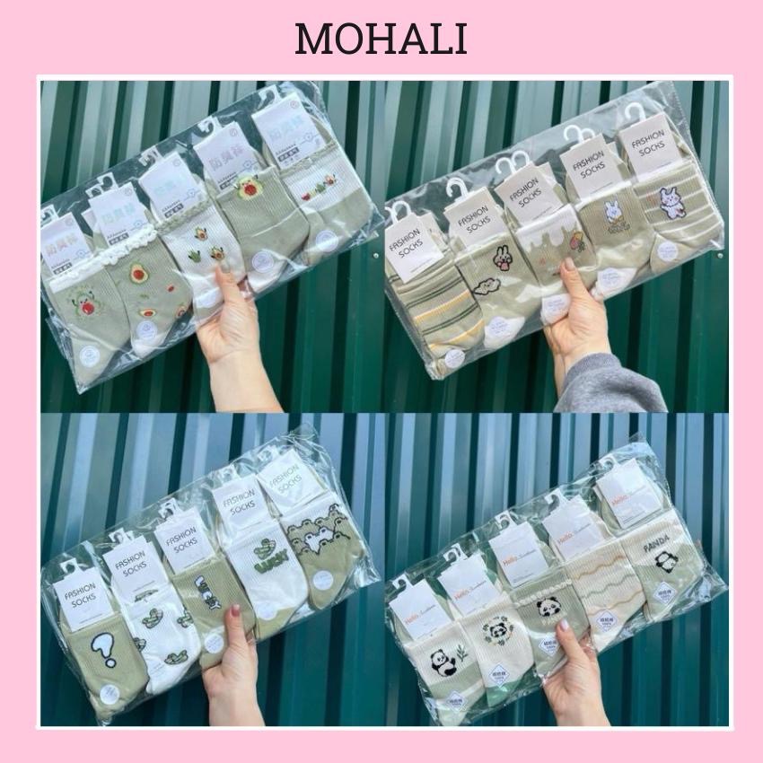Set 5 đôi vớ tất cổ cao tổng hợp màu xanh lá cotton kháng khuẩn thấm hút mồ hôi tốt MOHALI SVC068