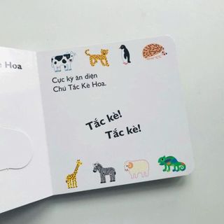 Bộ sách Cùng Chơi Trốn Tìm - Ehon phát triển tư duy cho bé từ 1 tuổi, bìa cứng (Cuốn lẻ tùy chọn)