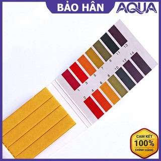 Giấy quỳ