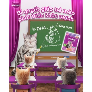 Combo Pate Cho Mèo Con Whiskas Junior 80g