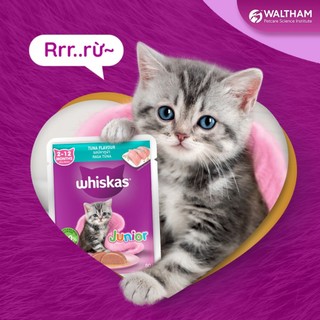 Combo Pate Cho Mèo Con Whiskas Junior 80g