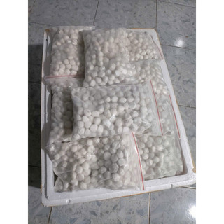 Trân châu nhân dừa 1kg