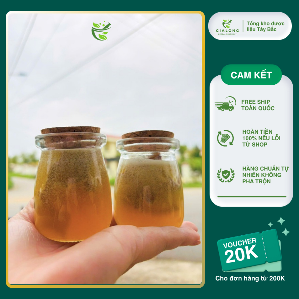 Sâm Lai Châu (Sâm Ngọc Linh Lai Châu) Ngâm Mật Ong Rừng Lọ 100ml