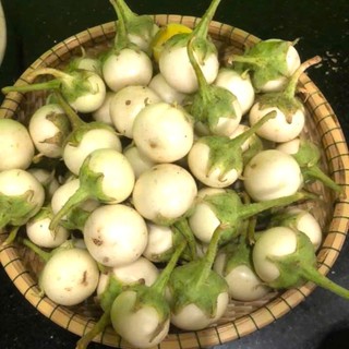 Hạt Giống Cà Pháo Trắng Cao Sản – Quả Tròn Đẹp, Giòn Ngon, Năng Suất Vượt Trội
