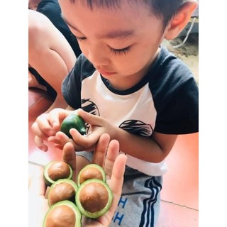 1kg HẠT MACCA ( MẮC CA) LAI CHÂU  KHÔ TỰ NỨT