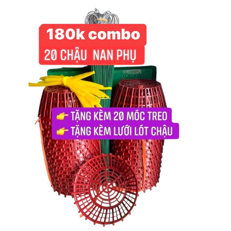 combo 20 chậu nan phụ F24-20 móc 70cm -20 lưới lót chậu