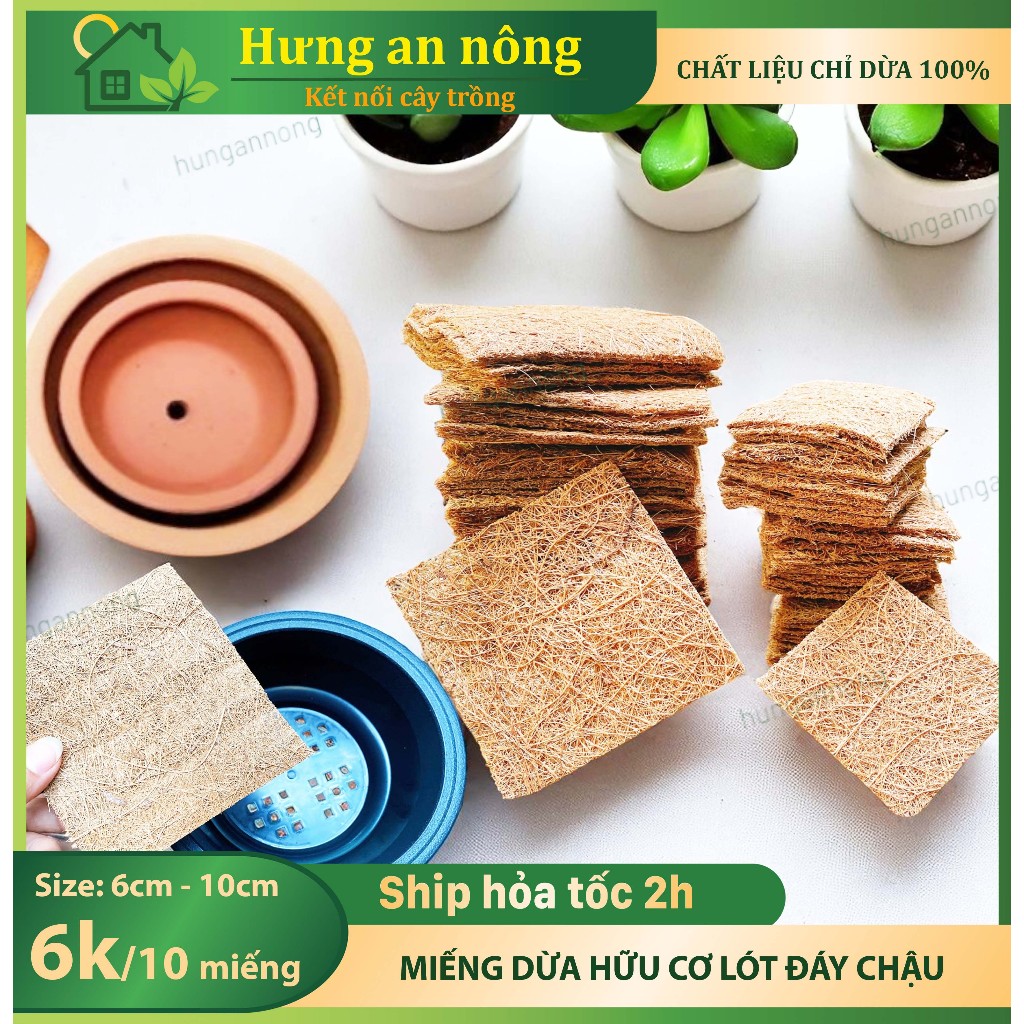 Combo 20 Miếng chỉ dừa, lót đáy chậu, bằng chỉ xơ dừa 100% - size 6cm - 10cm