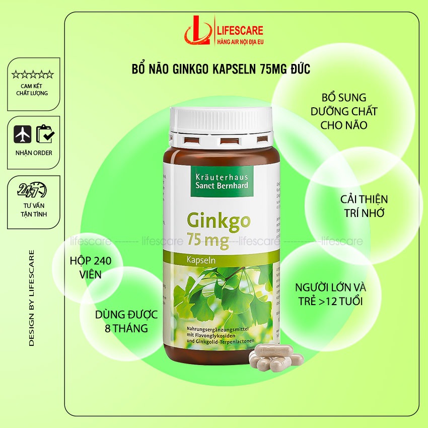 Bổ não Đức Ginkgo Kapseln 75mg bổ não tăng cường trí nhớ tăng khả năng tập trung giúp cải thiện tiền