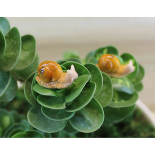Mô hình ốc sên trang trí tiểu cảnh, terrarium, stellariva