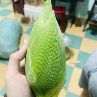 🌽 Deal Tiết Kiệm –10 Hạt Giống Ngô Nù Cổ Truyền, Ngọt Mềm, Dễ Trồng 🌽 ✅ Hạt ngô trắng tròn – ✅ Vị ngọt thanh, mềm thơm