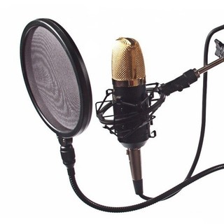 Màng Lọc Âm Thanh Cho Micro Thu Âm