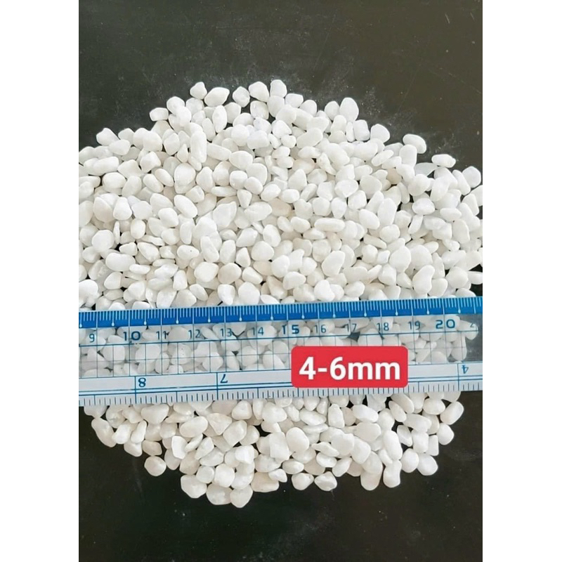 1kg sỏi trắng trang trí chậu cây cảnh, tiểu cảnh