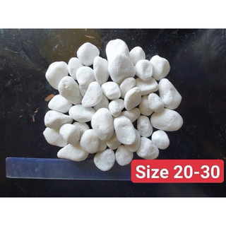 1kg sỏi trắng trang trí chậu cây cảnh, tiểu cảnh