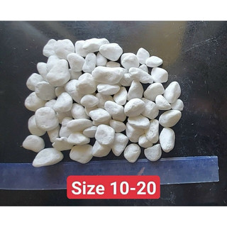 1kg sỏi trắng trang trí chậu cây cảnh, tiểu cảnh
