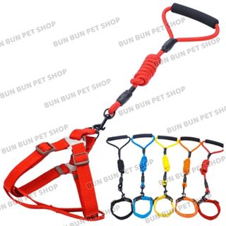 Dây dắt 2in1 (yếm, dây dắt) chó chó đủ cỡ