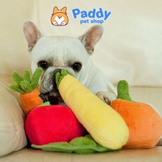 Đồ Chơi Cho Chó Thú Bông Có Tiếng Kêu