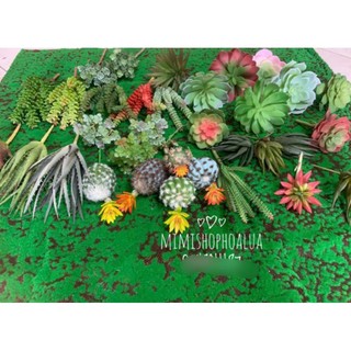  Cây Giả- Sen Đá -  Xương rồng - Nha Đam - trang trí tiểu cảnh,nhiều mẫu- Hoa giả trang trí nhà cửa decor 