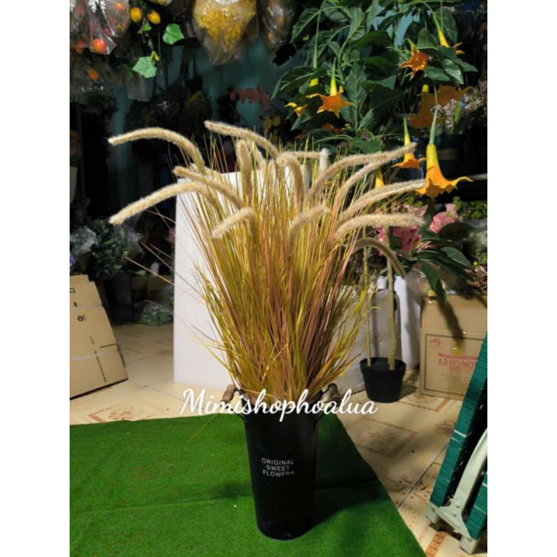 Chậu Hoa Cỏ Lau Cắm Sẵn/ Bông Lau Giả/ hoa cỏ lau Trang trí nhà cửa siêu xinh mimishophoalua